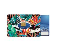 Color Pop Etui Rigide 1 Carte - Fabrication française - PVC imprimé Oiseau du Paradis Noir - 6 x 9,1 cm