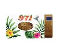 Color Pop Etui Rigide 1 Carte Guadeloupe Couleur Motif imprimé Colibri - Fabrication française - 6 x 9 cm (Carguada)