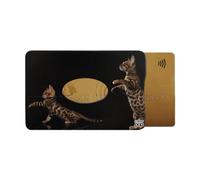 Color Pop Porte-Carte Rigide (1) Anti-RFID - Fabrication Française - PVC - Anti-RFID - Protection Cartes bancaires - 6 x 9,1 cm (Blindé Bengal)