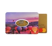 Color Pop Porte-Carte Rigide (1 Carte) - Fabrication Française - PVC Imprime - 6 x 9,1 cm (Mongolfière)