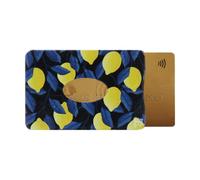 Color Pop Porte-Carte Rigide (1) Collection Provence Anti-RFID - Fabrication Française - Collection Provence - PVC - Protection Carte crédit - 6 x 9,1 cm (Imprimé Bergamotte)