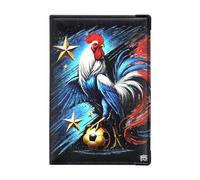 Color Pop Porte-papiers Voiture - Fabrication française - PVC - PAPIERS Francais - Etui Carte Grise - Permis de Conduire - Collection Foot - 15,4 x 10,3 cm (Coq)