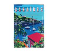 Color Pop Protège-Passeport Collection du Monde - Fabrication Française - PVC imprimé - 13,5 x 9,5 cm (CARAIBES)