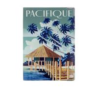 Color Pop Protège-Passeport Collection du Monde - Fabrication Française - PVC imprimé - 13,5 x 9,5 cm (Pacifique)