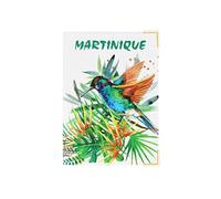 Color Pop® Protège Passeport Martinique - Fabrication française - en PVC - Accessoires de Voyage - 13,5 x 9,5 x 0,6 cm (Imprimé Colibri Martinique)