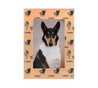 Color Pop Protège pour carnet de santé animauxpersonnalisable avec Photo - Fabrication Française - PVC imprimé (an Fauteuil) - Carnet Vaccination, ordonnances - 22 x 16,1 cm