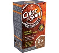 Color & Soin Coloration Permanente Aux Extraits Végétaux 6G Blond Foncé Doré 1 Kit