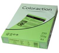 Coloraction 838a 120s 26 Antalis Papier Couleur A4 120 G/M² Vert Moyen/26 (Import Allemagne)