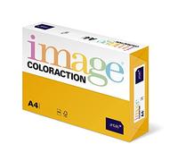 Coloraction Ramette de papier avec 250 feuilles Or pâle A4 160 g/m²