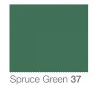 COLORAMA Fond de Studio 1.35 X 11m Spruce Green