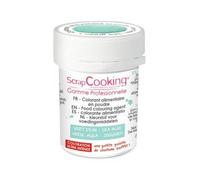 Colorant alimentaire en poudre - SCRAPCOOKING - Pot 5g - Vert d'eau