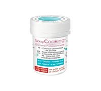 Colorant alimentaire en poudre turquoise 5 g