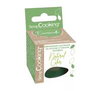 Colorant naturel vert 10 g ScrapCooking