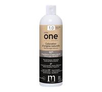 Coloration Color One 1.0 brun noir Patrice Mulato 300ML