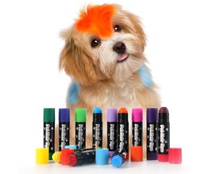 Coloration pour chien - Coloration temporaire pour poils d'animaux - Spray de couleur végétalien pour chats et animaux d'élevage avec des couleurs vives pour un toilettage créatif et un soin