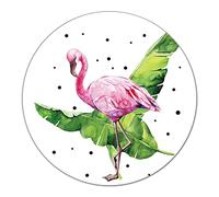Coloray Planche À Découper Protection Plaque ⌀ 40 cm Verre Trempé Induction Cuisson Tapis de Découpe Rond - Flamingo Aquarelle Tropical Floral