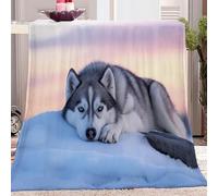 Coloré Couverture, Imprimé Husky dans Une scène de Neige Naturelle Chaude Douce Moelleuse Microfibre Couvre-lit Jeté de Canapé 150 x 200 cm Convient Adulte Couverture de Laine d'automne