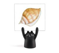 Coloré Escargot Marine Life Support Mémo Dessin animé Chat Noir Décoration