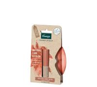 COLORED LIP BALM natural 3,5 gr