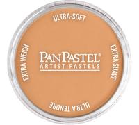 Colorfin Panpastel Ultra Soft Metallic Artist Pastel 9Ml-Bronze