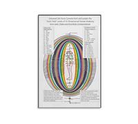 Colorful Chakra Anatomy Poster - Educational Chart of Energy Centers & Human Body Systems, Aura Field Canvas Wall Art for Meditation Room (Framed,16x24inch(40x60cm))