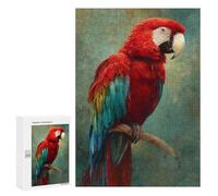 Colorful Macaw Parrot Art Print Puzzle 1000 Pièces Educa Jouet en Bois Cadeau Unique Décoration Intérieure Jeu Éducatif Challenge Toy Adultes Et Enfants À Partir De 14 Ans 300 PCS