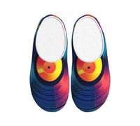 Colorful Viny Cd Pantoufles d'intérieur et d'extérieur en flanelle pour homme Motif disque de musique antidérapant, multicolore, X-Small Men/ X-Large Women