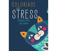 Coloriage Anti-Stress: Coloriage de Chat pour Adulte