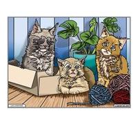 Coloriage - Chatons - Tableau à colorier - Avec contours velours noir - Dès 3 ans