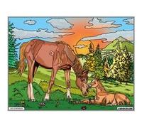 Coloriage - Chevaux - Tableau à colorier - Avec contours velours noir - Dès 3 ans