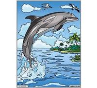 Coloriage - Dauphin - Tableau à colorier - Avec contours velours noir - Dès 3 ans