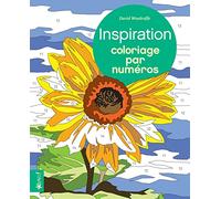 David Woodroffe – Coloriage par numéros : Inspiration – Gros caractères – Broché