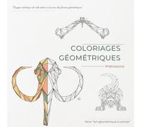 Coloriages Géométriques - Préhistoire: Voyage Artistique De Relaxation À Travers Des Formes Géométriques (Art Géométrique À Colorier)