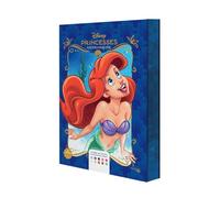 Coloriages mystères Disney Collector - Princesses