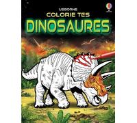 Colorie tes dinosaures - Sam Smith - Usborne - broché - Document jeunesse