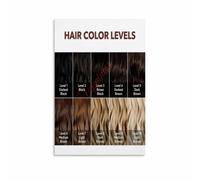 Colorist Level Chart Poster For Hair Shade Guide