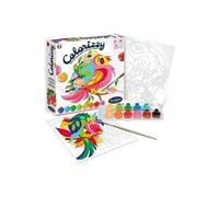 Sentosphere Colorizzy - Perruches