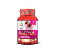 Colors of Life Echinacea Angustifolia et Purpurea - Supplément d'Echinacea - Soutient la fonction des premières voies respiratoires - Végétalien, 60 Capsules