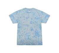 Colortone - T-shirt - Adulte (RW10332)