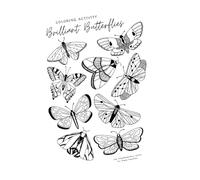 Colour Activity Book for Beautiful Brilliant Butterfly for Baby and Kids