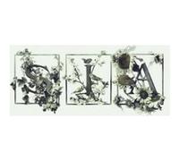 Sia - Colour The Small One [Import]