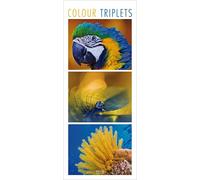 Colour Triplets 2027: Schmaler Wandkalender. Foto-Kunstkalender mit farblich abgestimmten Bildern. PhotoArt Vertikal. 28,5 x 69 cm.