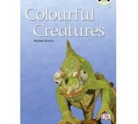 Colourful Creatures (Orange B) NF (BUG CLUB) Brasch, Nicolas (Auteur)