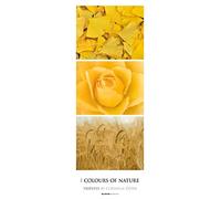 Colours of Nature Triplets 2024 Calendrier mural à rayures XXL 25 x 69 cm Calendrier photo au format portrait Calendrier naturel Calendrier mural