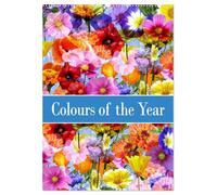 Colours of the Year (Wall Calendar 2026 DIN A2 portrait), CALVENDO 12 Month Wall Calendar: Triple flower dreams in perfect color harmony