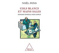 Cols blancs et mains sales: Économie criminelle, mode d'emploi