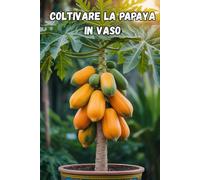 Coltivare la papaya in vaso: Una guida completa passo dopo passo per coltivare la papaya in casa e in appartamento: dalla semina alla raccolta (dei frutti)