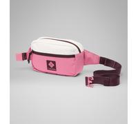 Columbia Sac Banane Unisexe Trail Traveler Hip Bag Sel de mer/Rosette/Moonvista, Taille Unique