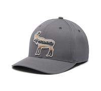 Casquette de baseball Lost Lager 110 Snap Back Columbia - City Grey/Scenic Moose