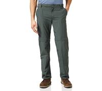 Columbia Silver Ridge 2.0 Convertible Pants Gris 6 / 32 Femme